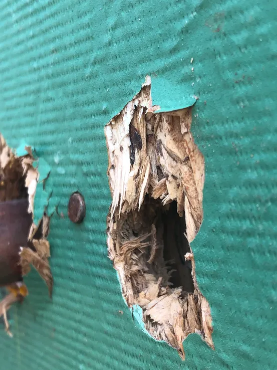 Improper drain plane — no gap for water to escape behind cladding